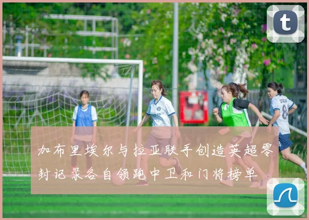 加布里埃尔与拉亚联手创造英超零封记录各自领跑中卫和门将榜单